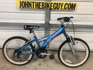 20" Girls Bicycles